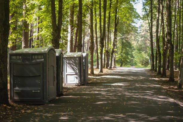Best Porta potty rental for parties  in Tanglewilde, WA
