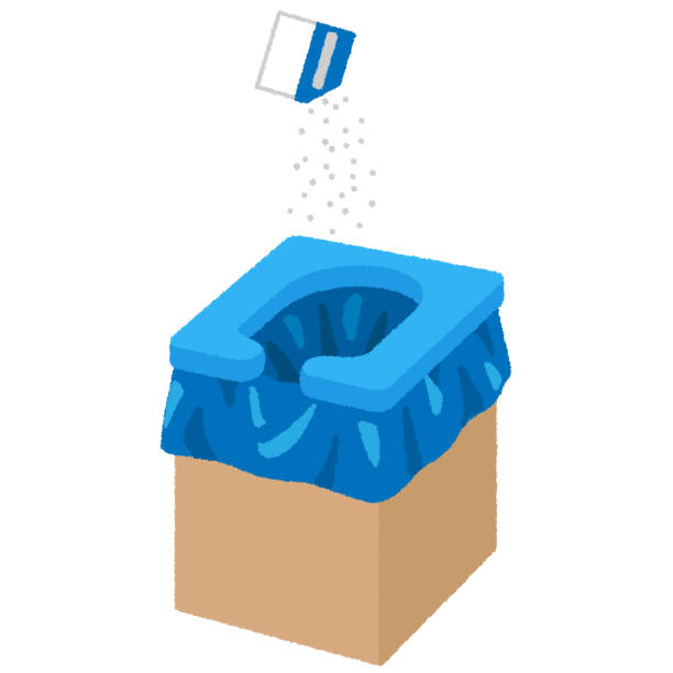 Best Local porta potty services  in Tanglewilde, WA